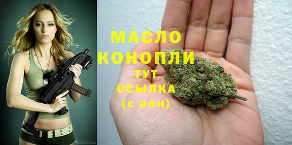 дмт Осташков