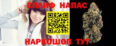 молекула духа Камышлов