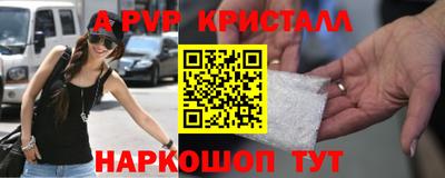 a pvp Кингисепп