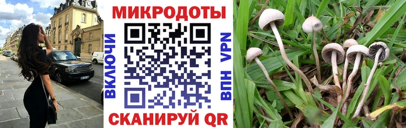 Псилоцибиновые грибы Psilocybine cubensis  Новотроицк 